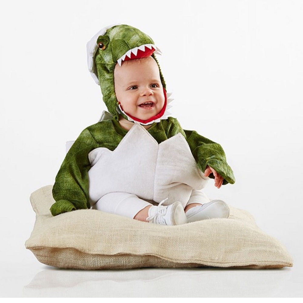 Pottery Barn Kids Green Dinosaur Costume